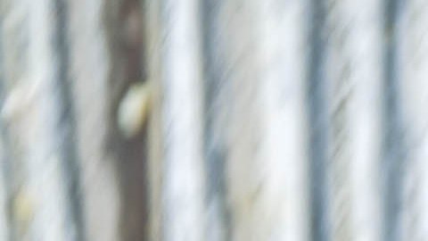 El azúcar añadido oculto en el desayuno enciende el mismo termostato de la inflamación crónica que la cúrcuma intenta apagar.