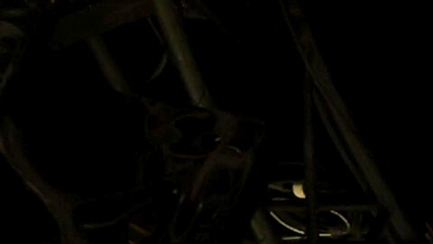 Los Premios Emmy de este año se celebrarán el 14 de septiembre de este año.