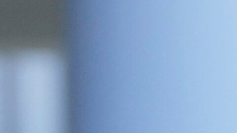 Revelan la causa preliminar de la muerte del senador Lindsey Graham