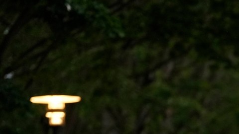 Varios heridos en tiroteo cerca de la Space Needle durante festival gastronómico en Seattle