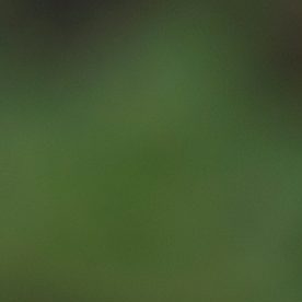 Thomas Tuchel cree que Inglaterra sufrirá los primeros 20 minutos por la altura en México