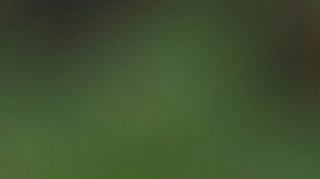 Thomas Tuchel cree que Inglaterra sufrirá los primeros 20 minutos por la altura en México