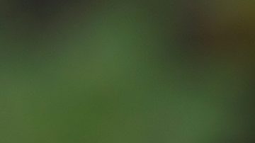Thomas Tuchel cree que Inglaterra sufrirá los primeros 20 minutos por la altura en México