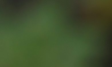 Thomas Tuchel cree que Inglaterra sufrirá los primeros 20 minutos por la altura en México