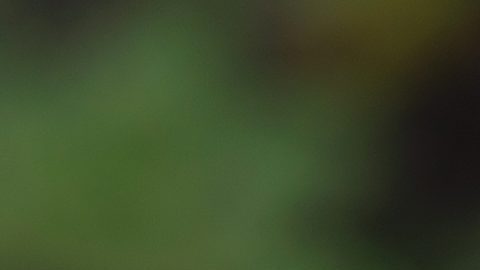 Thomas Tuchel cree que Inglaterra sufrirá los primeros 20 minutos por la altura en México