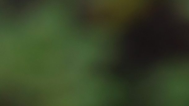 Thomas Tuchel cree que Inglaterra sufrirá los primeros 20 minutos por la altura en México