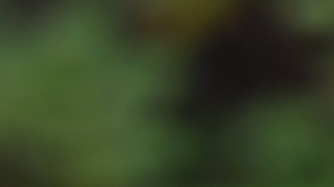 Thomas Tuchel cree que Inglaterra sufrirá los primeros 20 minutos por la altura en México