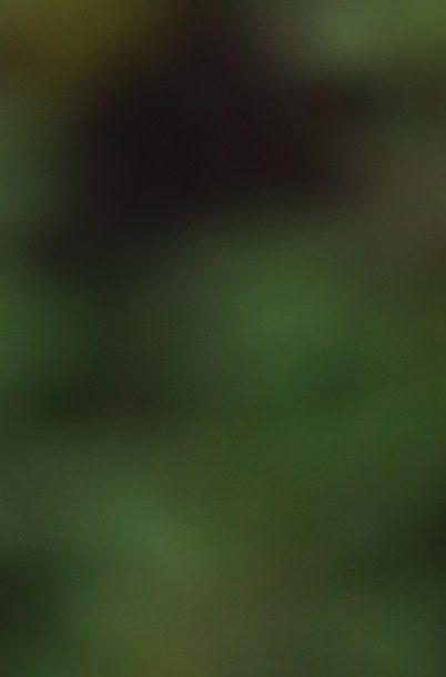 Thomas Tuchel cree que Inglaterra sufrirá los primeros 20 minutos por la altura en México