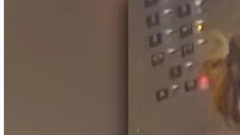 Iffat Lubna es una de varias personas coacusadas en el complejo caso.