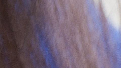 Los arándanos, por su alto contenido de antocianinas son una potencia de antioxidantes, protegiendo tu salud cerebral y combatiendo el estrés oxidativo en cada bocado.