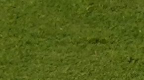 El árbitro esloveno Slavko Vincic muestra la tarjeta roja al argentino Enzo Fernández (24) durante la final de la Copa del Mundo entre España y Argentina.
