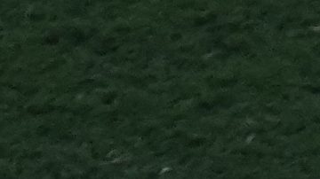 Jugadores se enzarzan en un altercado tras el partido de la final de la Copa del Mundo de fútbol entre España y Argentina