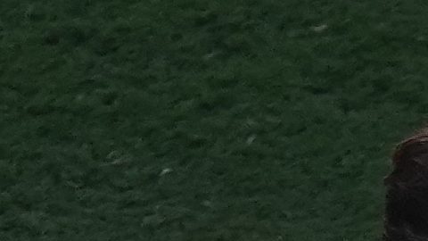 Jugadores se enzarzan en un altercado tras el partido de la final de la Copa del Mundo de fútbol entre España y Argentina