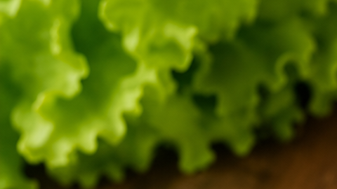lata de atún en agua y lata de atún en aceite