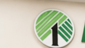 Interior de una tienda Dollar Tree en Estados Unidos con góndolas de productos y señalización de la marca.