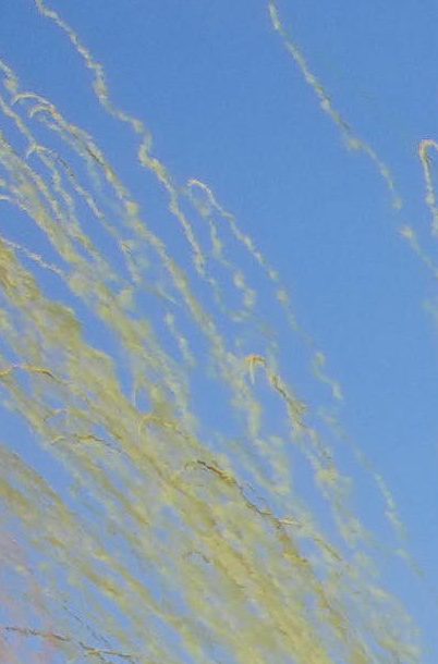 Unos bailarines actúan mientras humo de colores se eleva sobre el estadio durante el espectáculo del descanso de la final de la Copa del Mundo de fútbol entre España y Argentina, en East Rutherford.