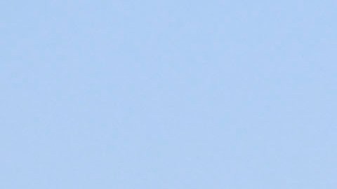 Solicitantes de asilo caminan en dirección a una camioneta de la Patrulla Fronteriza de Estados Unidos tras cruzar la frontera con México, el martes 26 de septiembre de 2023, cerca de Jacumba Hot Springs, California.