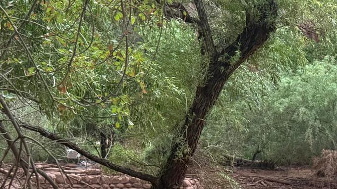Fotografía cedida por el Servicio de Parques Nacionales de EE.UU. que muestra los restos de los pilares de un puente de piedra destruido debido a una crecida repentina del arroyo Bright Angel en Arizona (EE.UU.).