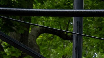 La primera intervención se realizó este lunes en el Parque Dry Harbor de Queens.