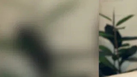 Jared Bridegan, ejecutivo asesinado en 2022.