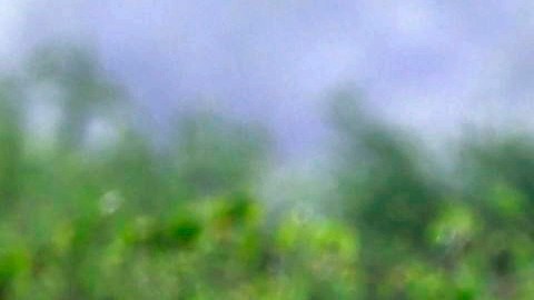 Finca afectada por la sequía en Puerto Rico