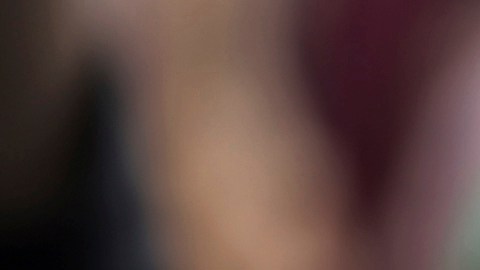 Avalaron el proyecto de 15 puntos planteado por Trump.