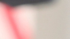 Nixon derrotó al exasesor del Consejo de Seguridad Nacional, Alex Vindman.