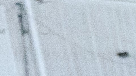Agentes del ICE persiguen a manifestantes a las afueras del centro de detención Delaney Hall durante una protesta el miércoles 27 de mayo de 2026 en Newark, Nueva Jersey.