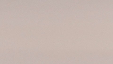 Yan Diomande podría convertirse en jugador del Real Madrid.