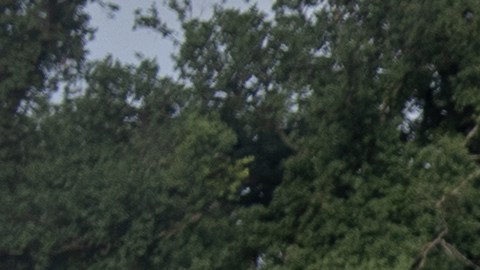 Un trabajador del Servicio de Parques Nacionales se encuentra cerca de una bomba ubicada junto al estanque reflectante del Monumento a Lincoln, el viernes 10 de julio de 2026, en Washington.
