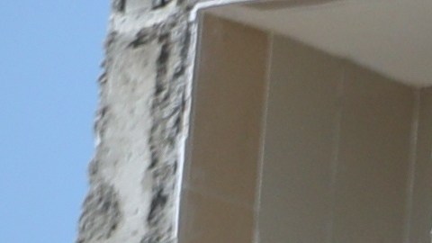 El terremoto tuvo como epicentro la localidad de San José del Palmar.
