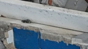 Un total de 190 edificios colapsaron tras los movimientos telúricos.