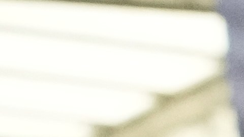 Material para las elecciones primarias de Florida el 18 de agosto