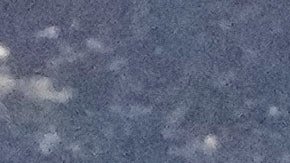 El martes 25 de agosto de 2026, en Nashville, se colocaron flores en la estrella de Dolly Parton en el Paseo de la Fama.
