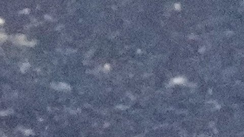 El martes 25 de agosto de 2026, en Nashville, se colocaron flores en la estrella de Dolly Parton en el Paseo de la Fama.