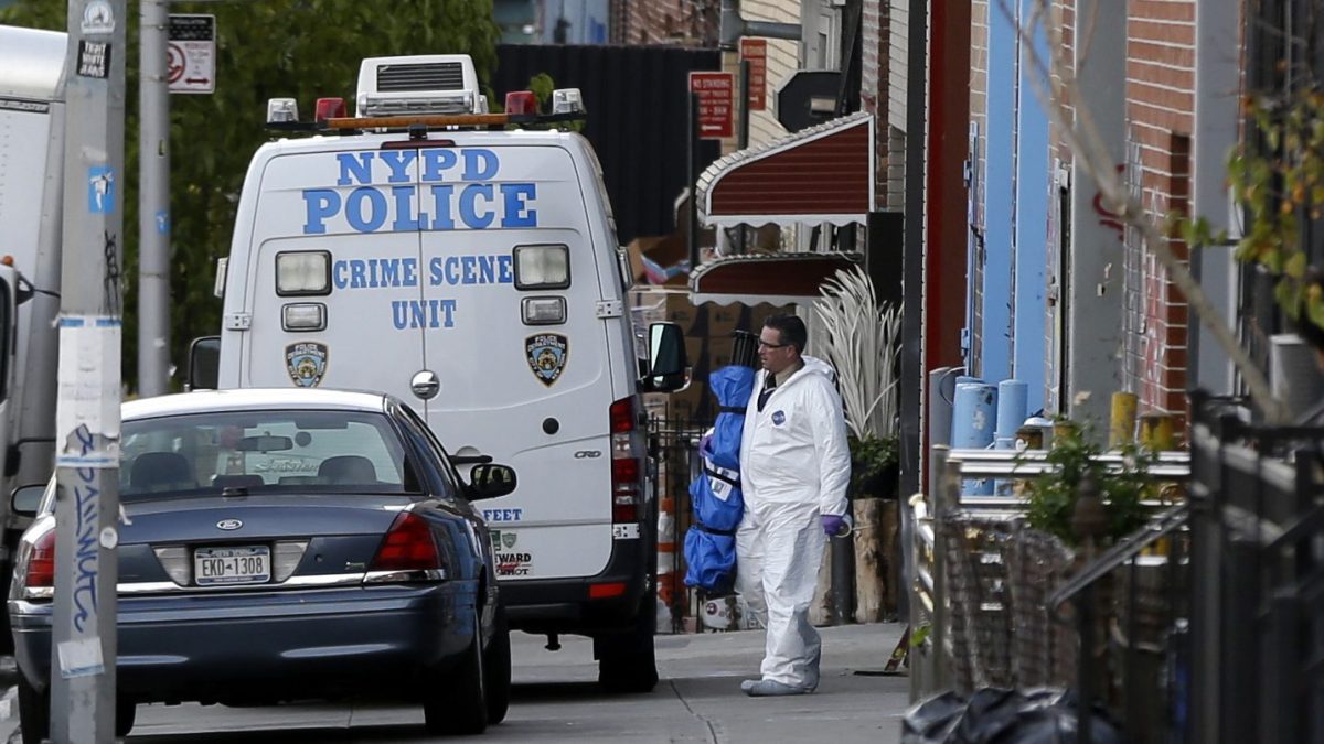 Assault News Image