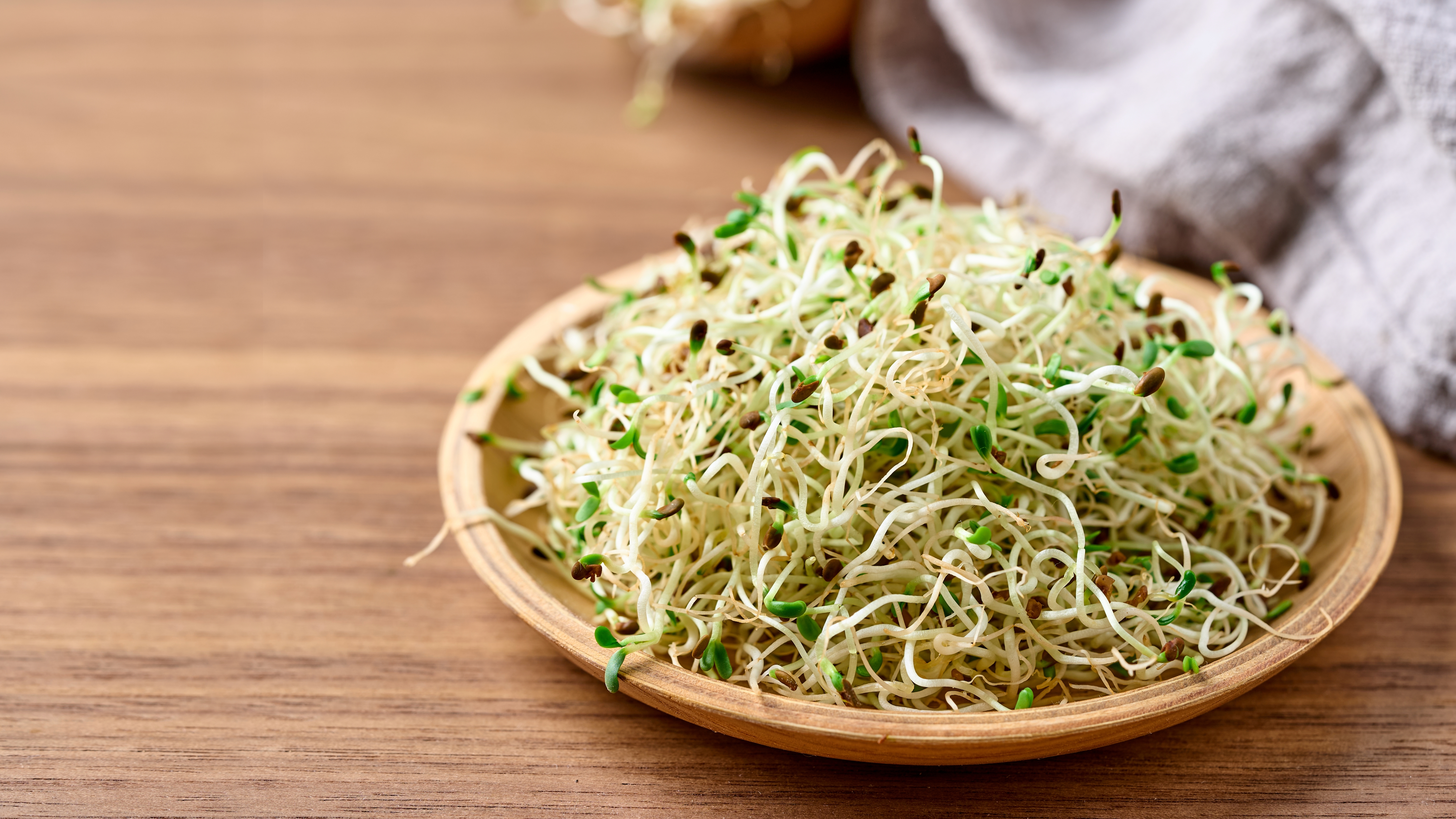 Alerta alimentaria de la FDA: retiran lotes de brotes de alfalfa por contaminación bacteriana