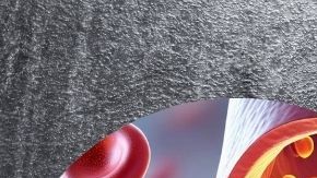 Una alimentación balanceada que incluya legumbres y grasas saludables es la clave respaldada por la ciencia para cuidar el corazón y mantener a raya el colesterol LDL.