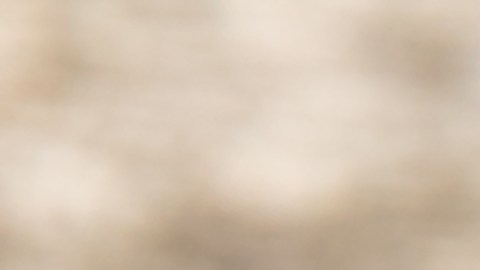Los carbohidratos refinados contienen moléculas que se pegan a las proteínas como el colágeno y la elastina.