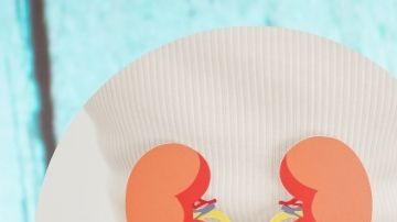 1.	El perejil fresco destaca por su alto contenido de vitamina K, antioxidantes y compuestos bioactivos que cuidan la salud de tus riñones