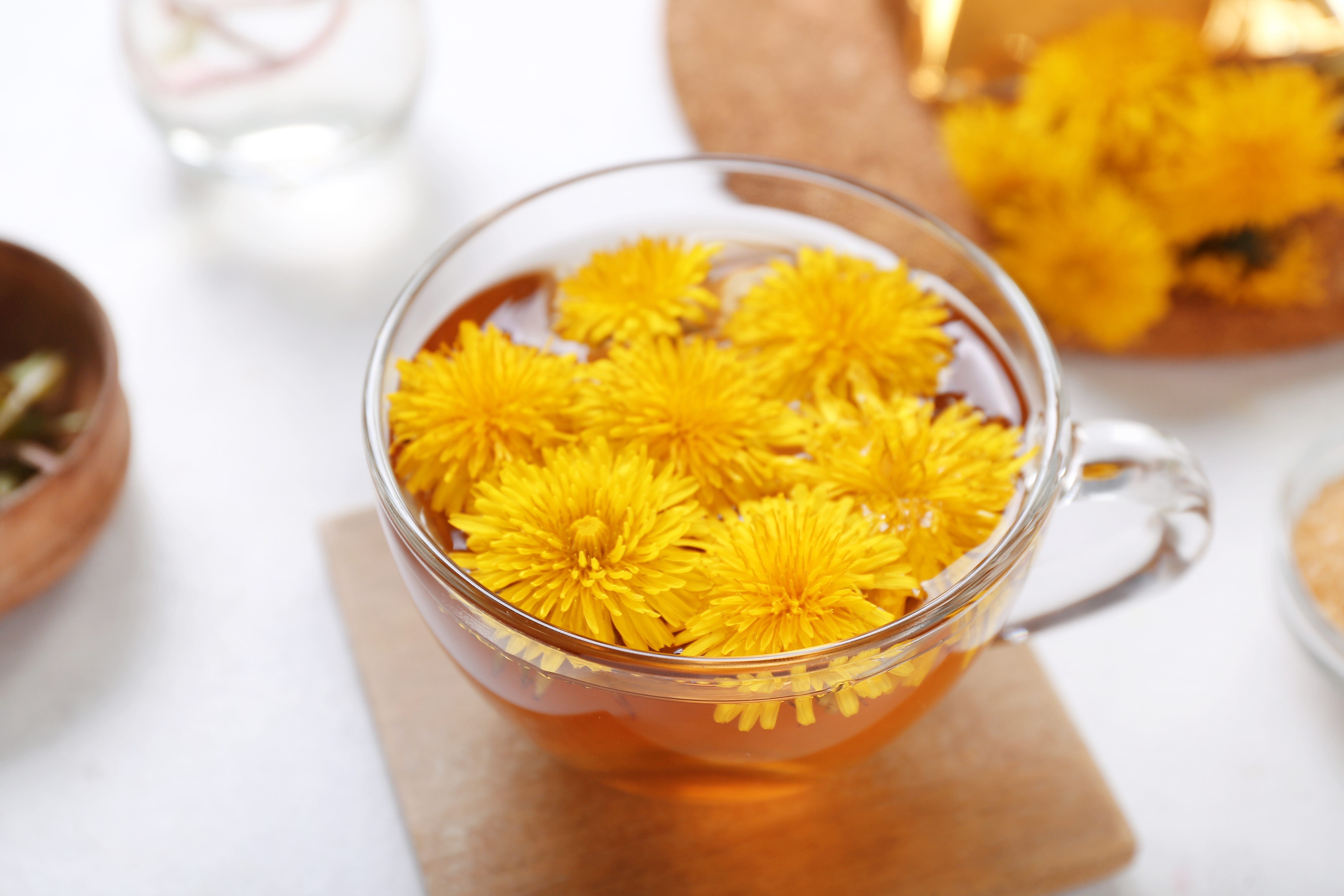 Beneficios del diente de león: protege los riñones, el hígado… ¿y podría curar el cáncer?