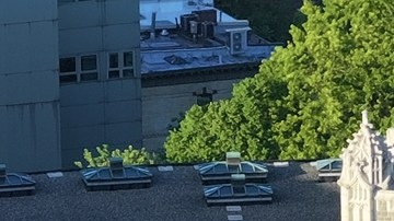 Estudiantes migrantes temen abandonar la universidad en Nueva York tras demanda de Trump contra la matrícula estatal