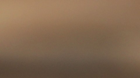 El presidente Donald Trump firmó un decreto para permitir la importación libre de impuestos de 300,000 toneladas métricas de carne de res por 90 días.