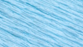 La fibra soluble actúa como un escudo en el sistema digestivo, atrapando el exceso de colesterol antes de que llegue a la sangre.