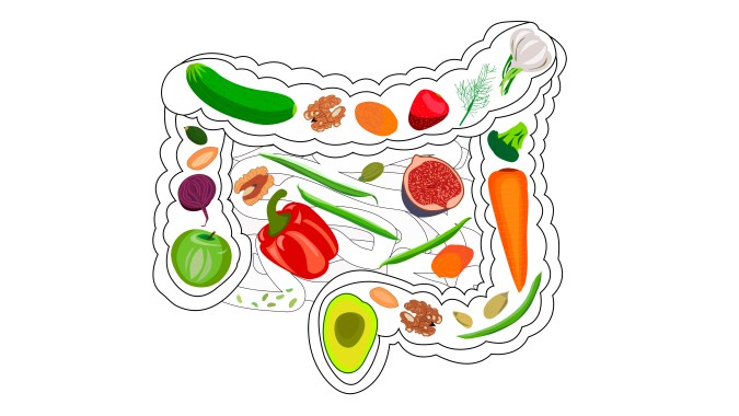 El plato ideal para cuidar la salud digestiva combina proteínas ligeras como el pollo o el pescado blanco con verduras bien cocinadas que evitan la inflamación y la acidez estomacal.
