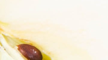 Comer sin miedo es posible cuando aprendes a elegir carbohidratos aliados y grasas saludables en porciones adecuadas para proteger tu mucosa gástrica.