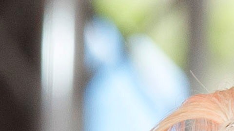 Dolly Parton fue una estrella de la música country.