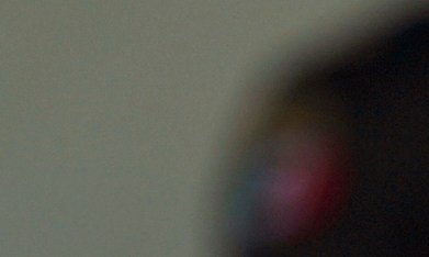 EE.UU. publica mensaje tras cancelación de visa al hijo del expresidente mexicano López Obrador