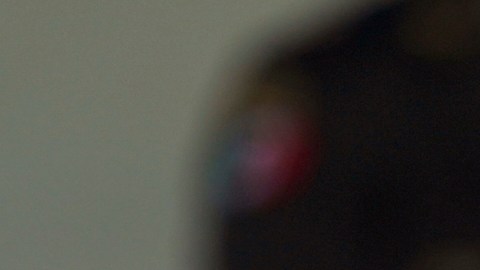 EE.UU. publica mensaje tras cancelación de visa al hijo del expresidente mexicano López Obrador