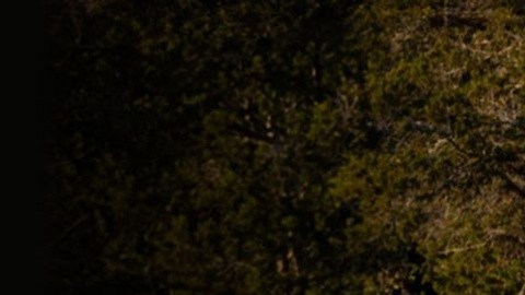 El RAM 1500 Tungsten ofrece hasta $13,739 dólares de descuento, equivalente a un 15% sobre el precio sugerido de fábrica.